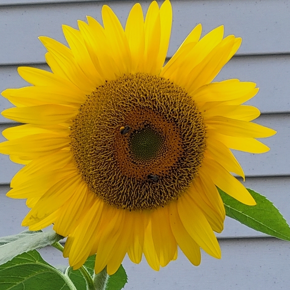 Meet your Posher - Picture 1 of 1